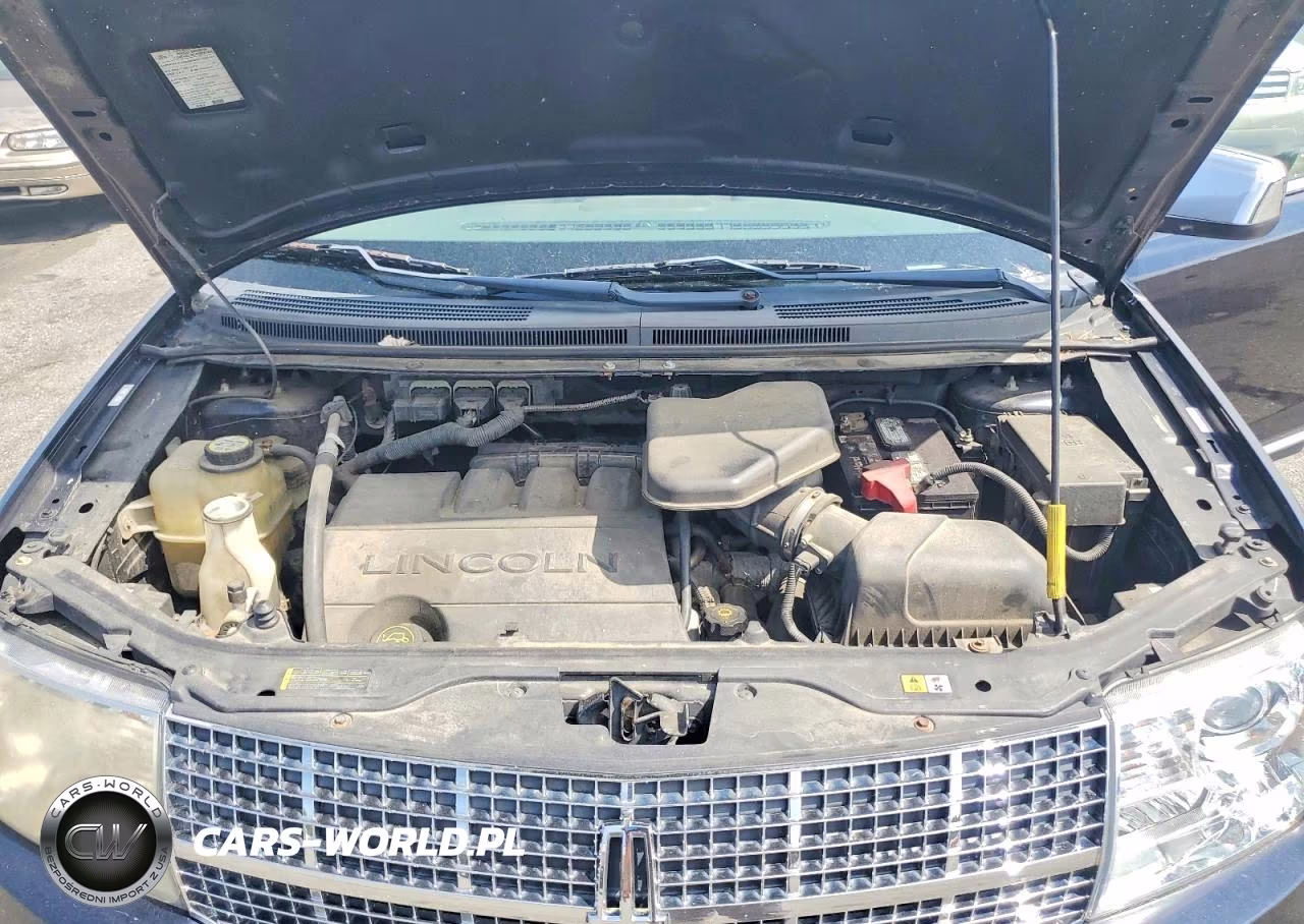 2008 Lincoln Mkx Black Label VIN:2LMDU88C48BJ28481 - 12