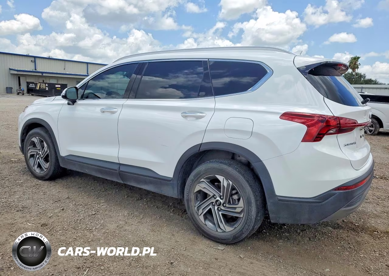 2023 Hyundai Santa Fe Sel VIN:5NMS24AJ1PH649026 - 2
