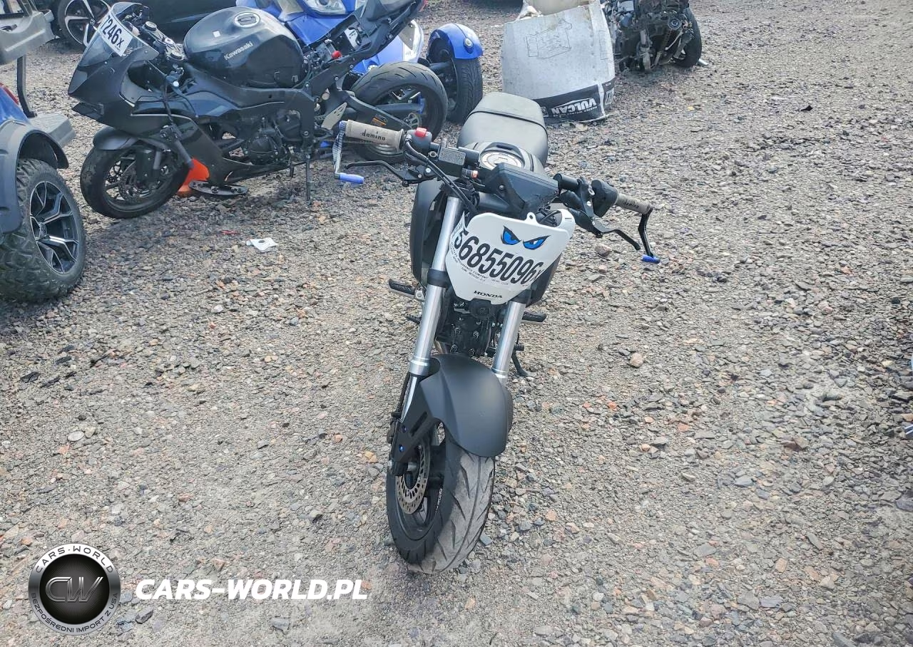 2023 Honda Grom 125 VIN:MLHJC9217P5105523 - 2
