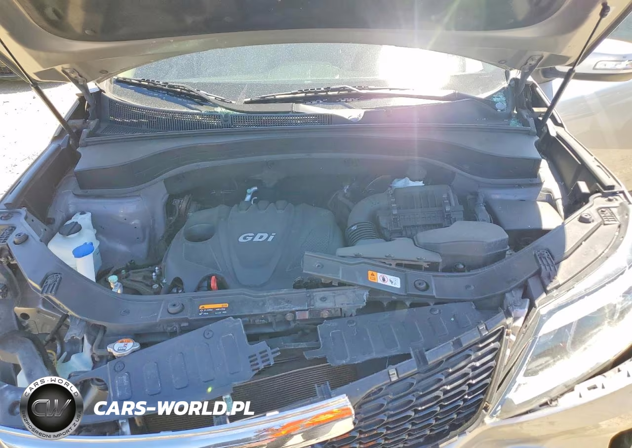 2014 Kia Sorento Lx VIN:5XYKT3A63EG478645 - 12