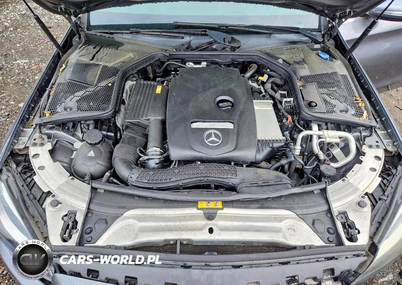 2017 Mercedes-Benz C 300 4Matic VIN:55SWF4KB5HU220728 - 11