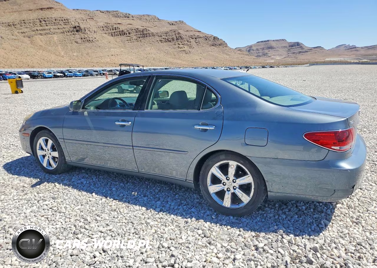 2005 Lexus Es 330 VIN:JTHBA30GX55066097 - 2