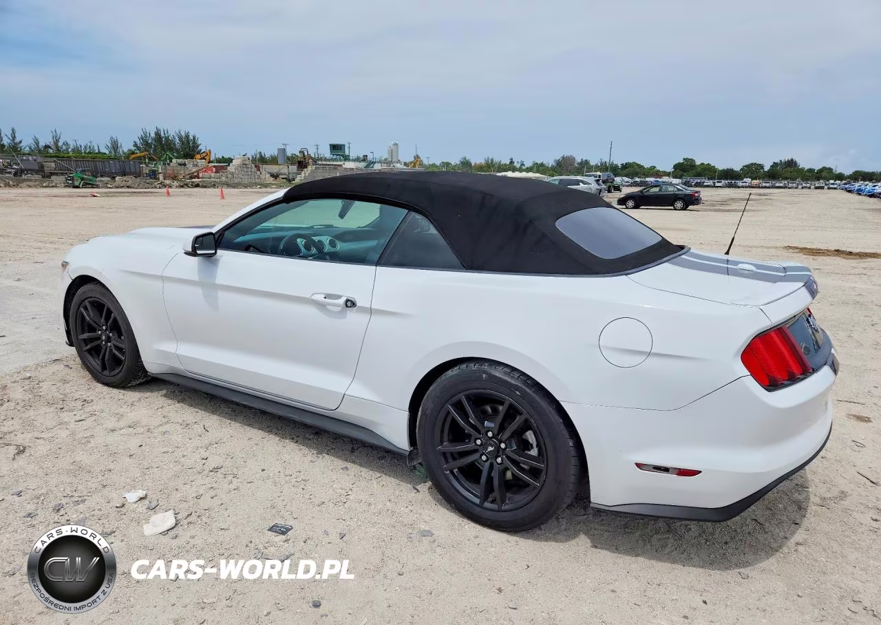 2017 Ford Mustang VIN:1FATP8UH1H5294911 - 2