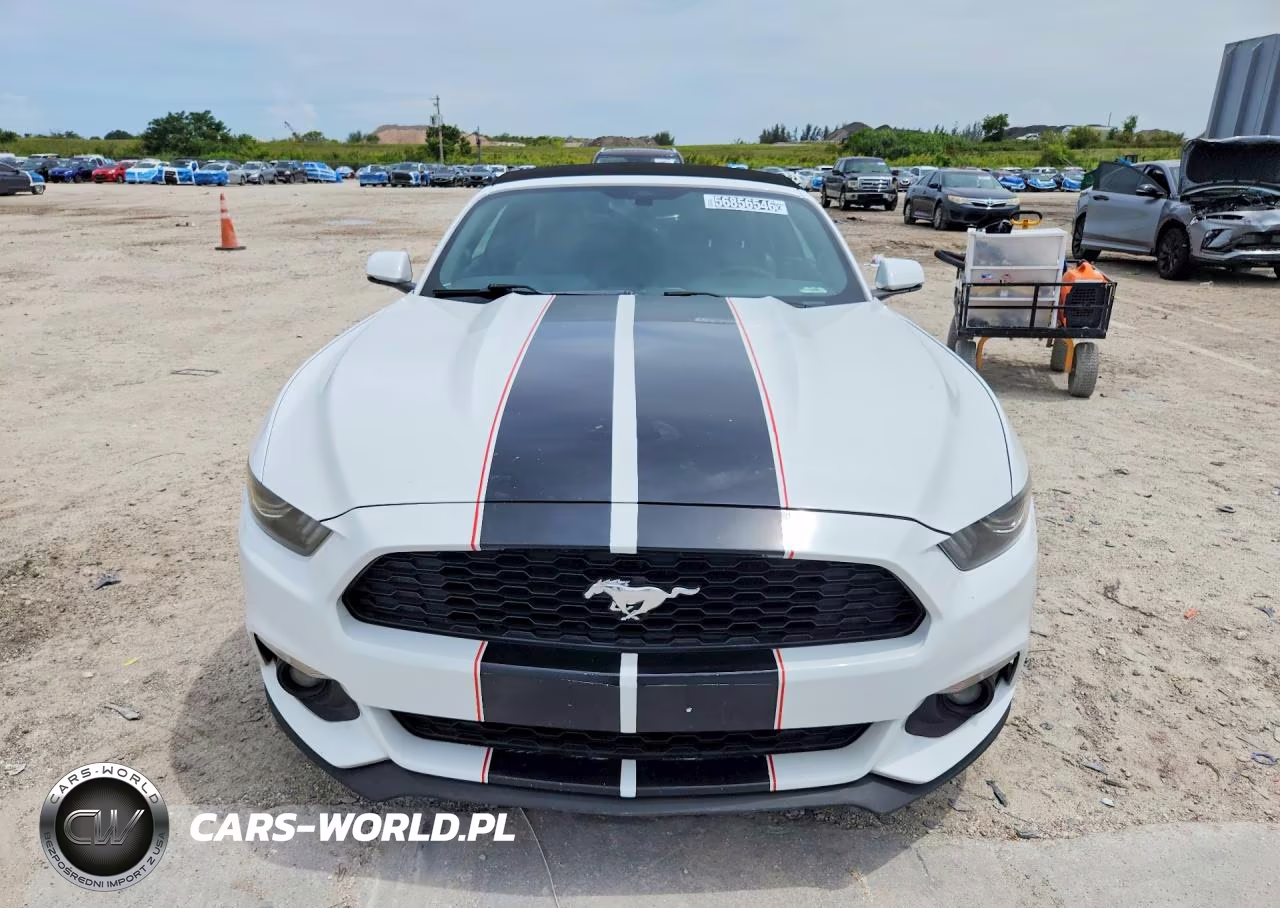 2017 Ford Mustang VIN:1FATP8UH1H5294911 - 5