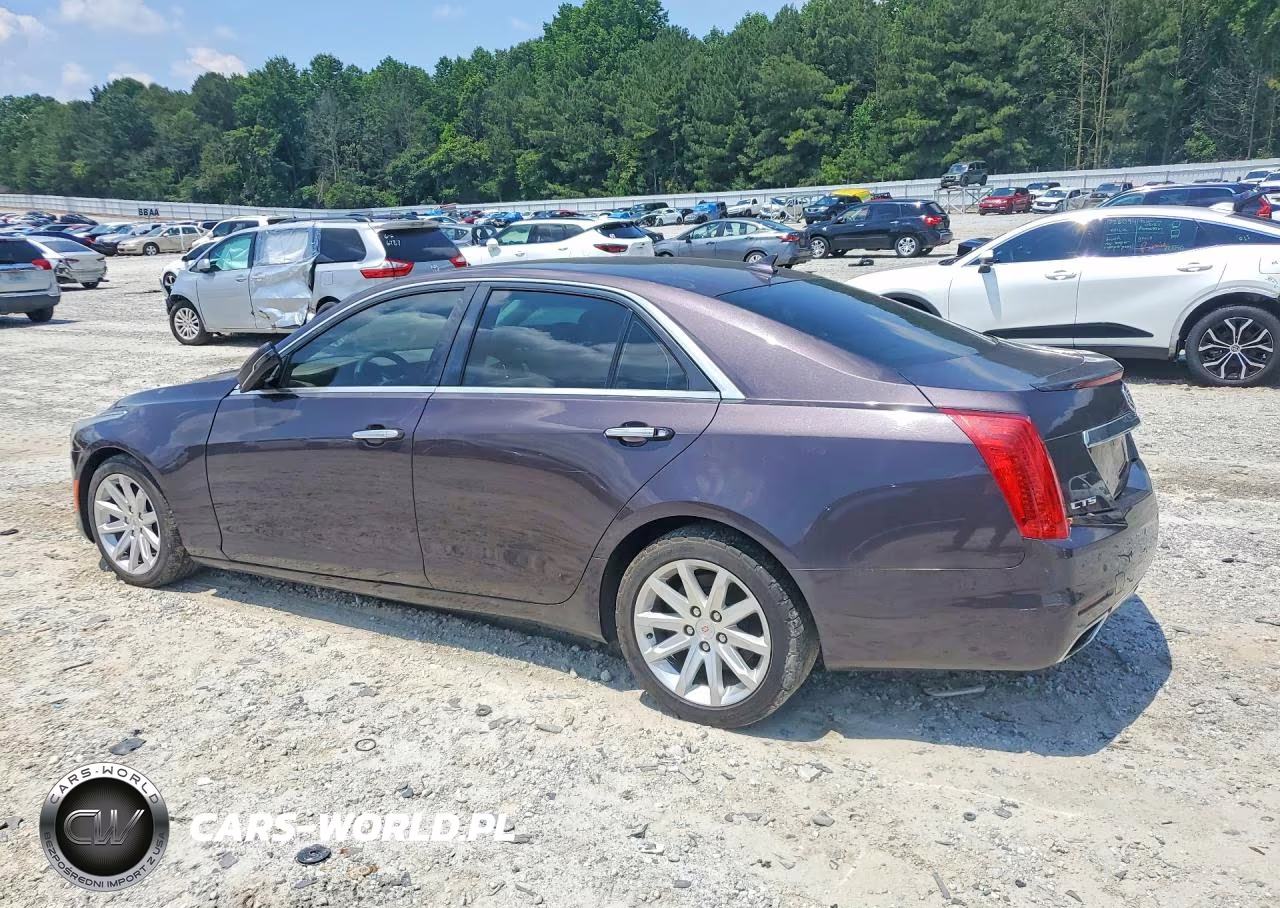 2014 Cadillac Cts Luxury Collection VIN:1G6AR5S3XE0141666 - 2