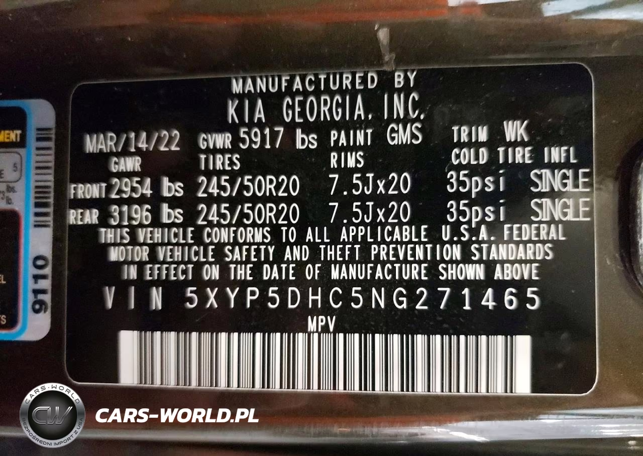 2022 Kia Telluride Sx VIN:5XYP5DHC5NG271465 - 13