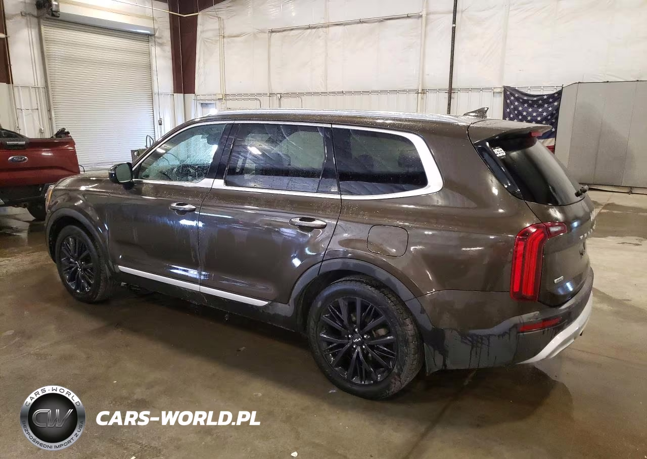 2022 Kia Telluride Sx VIN:5XYP5DHC5NG271465 - 2