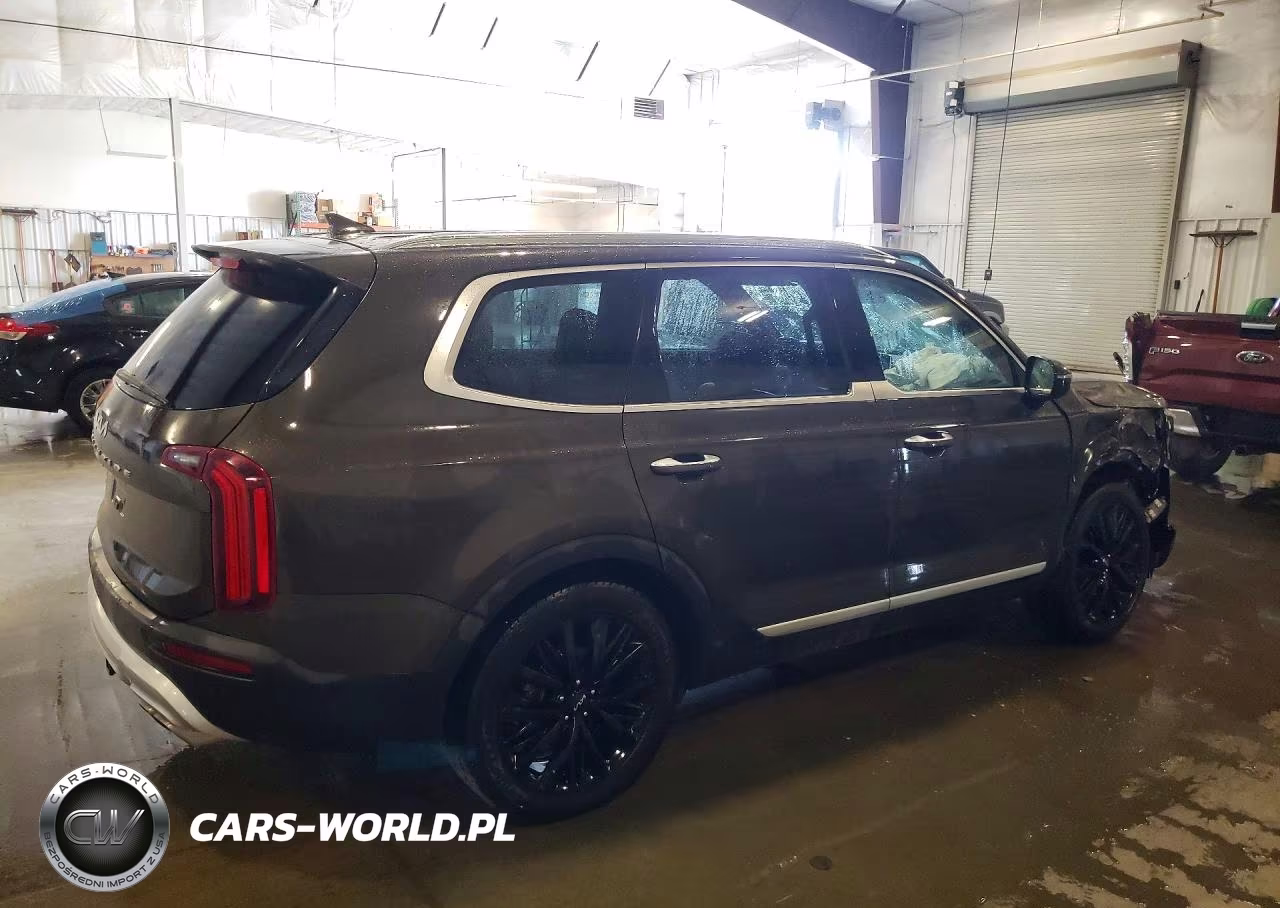 2022 Kia Telluride Sx VIN:5XYP5DHC5NG271465 - 3