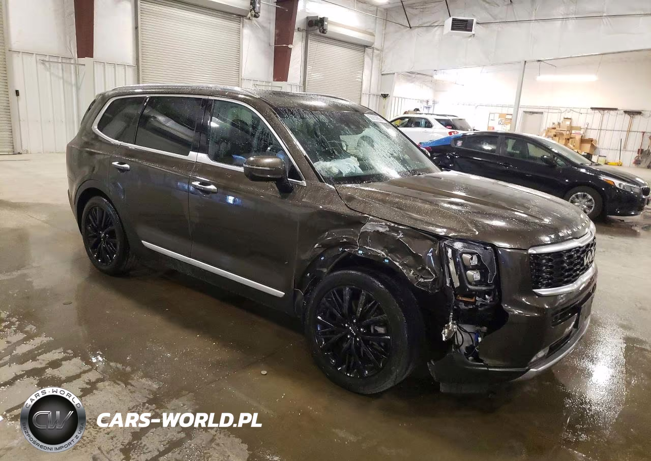 2022 Kia Telluride Sx VIN:5XYP5DHC5NG271465 - 4