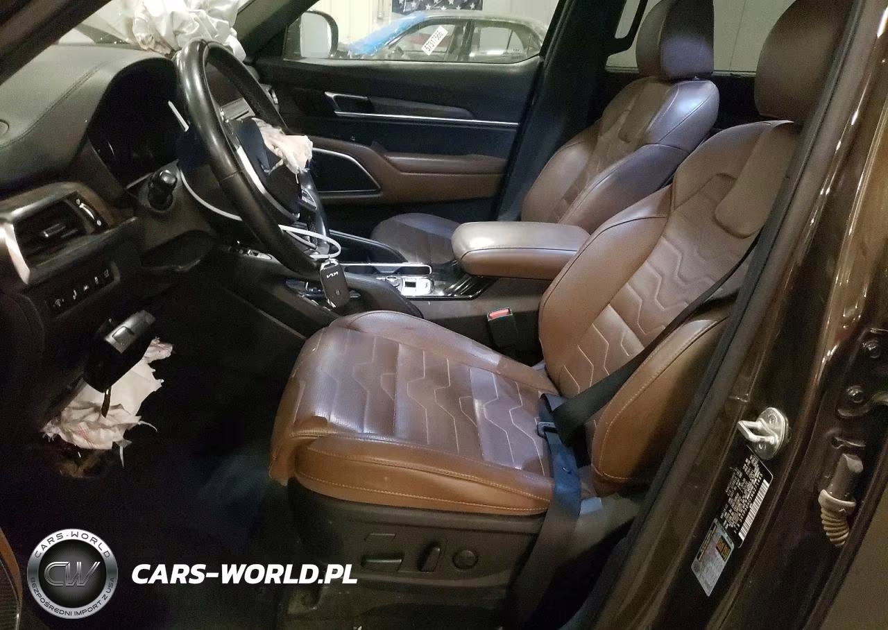 2022 Kia Telluride Sx VIN:5XYP5DHC5NG271465 - 7