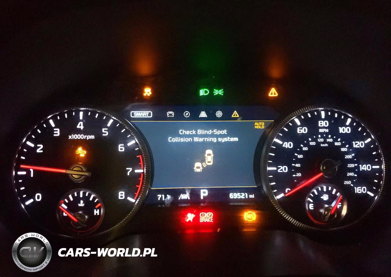 2022 Kia Telluride Sx VIN:5XYP5DHC5NG271465 - 9