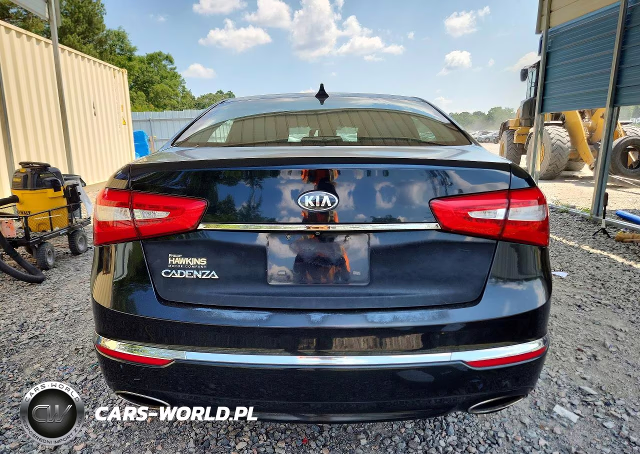 2016 Kia Cadenza Luxury VIN:KNALN4D76G5221383 - 6