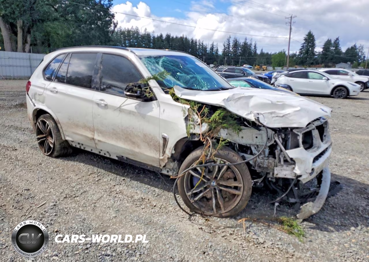2020 BMW X5 M VIN:5YMKT6C52G0R78947 - 4