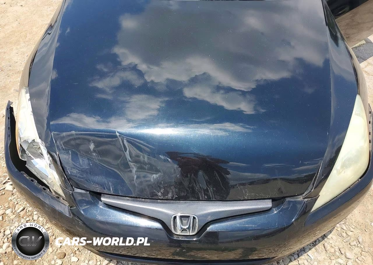 2005 Honda Accord Se VIN:1HGCM82485A018734 - 11