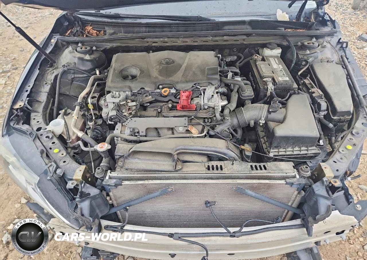 2019 Toyota Camry Se VIN:4T1B11HK5KU255171 - 11