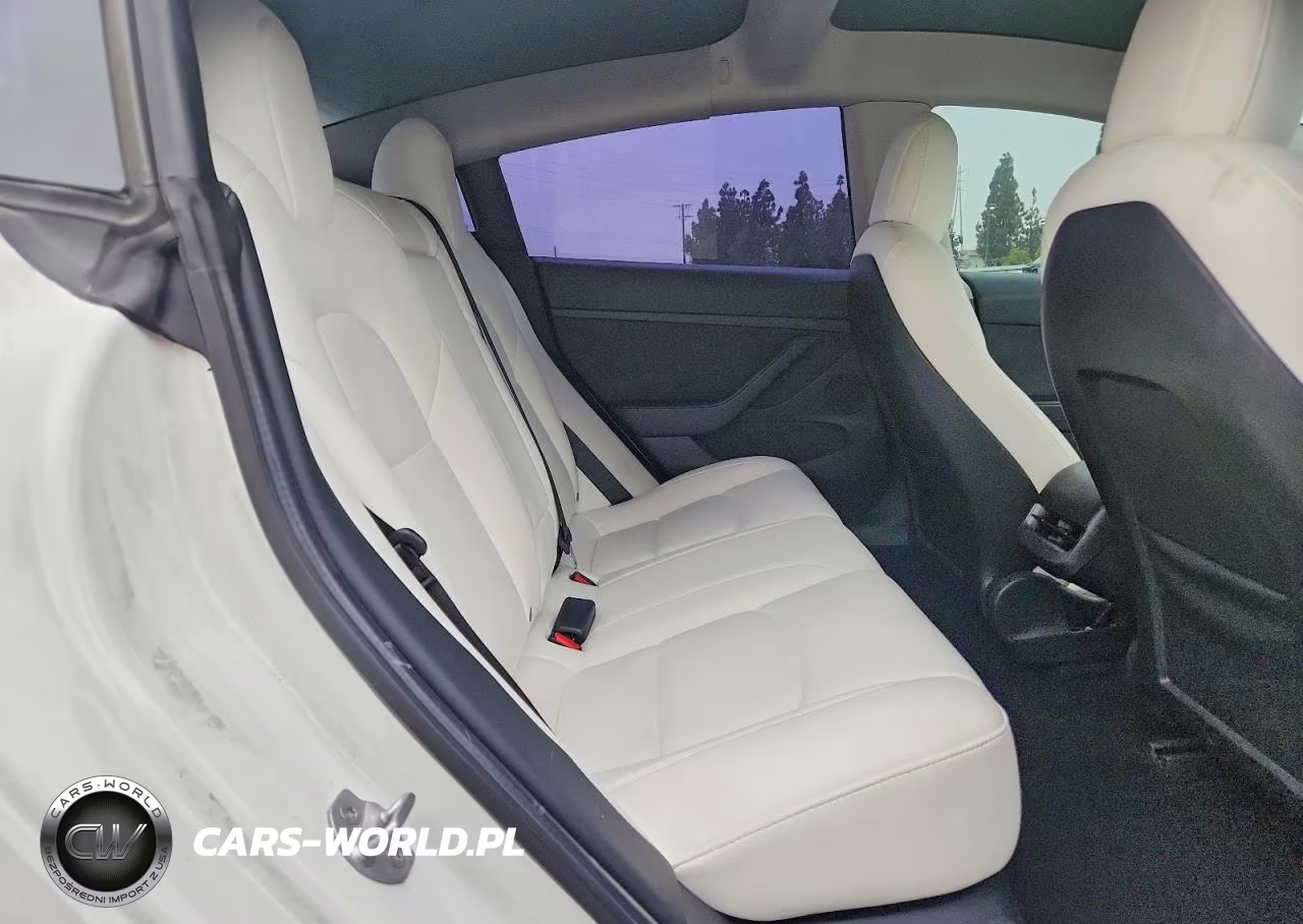 2021 Tesla Model 3 VIN:5YJ3E1EC9MF077884 - 10