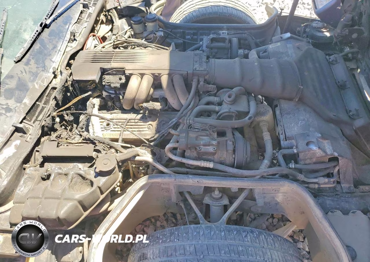1991 Chevrolet Corvette VIN:1G1YY2382M5104810 - 11