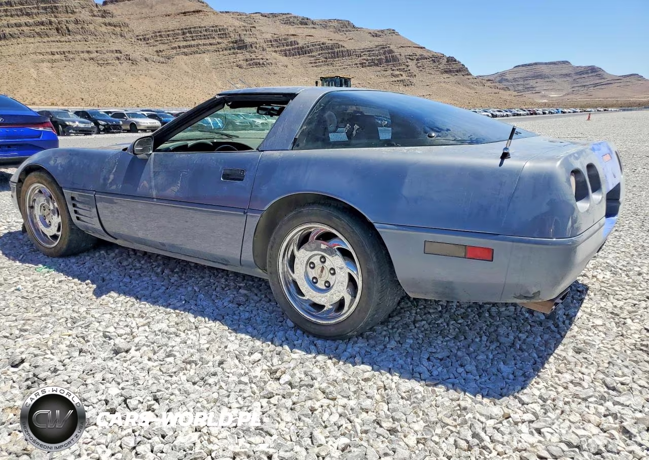 1991 Chevrolet Corvette VIN:1G1YY2382M5104810 - 2