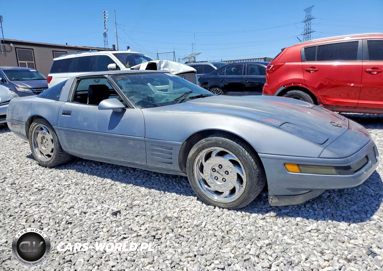 1991 Chevrolet Corvette VIN:1G1YY2382M5104810 - 4