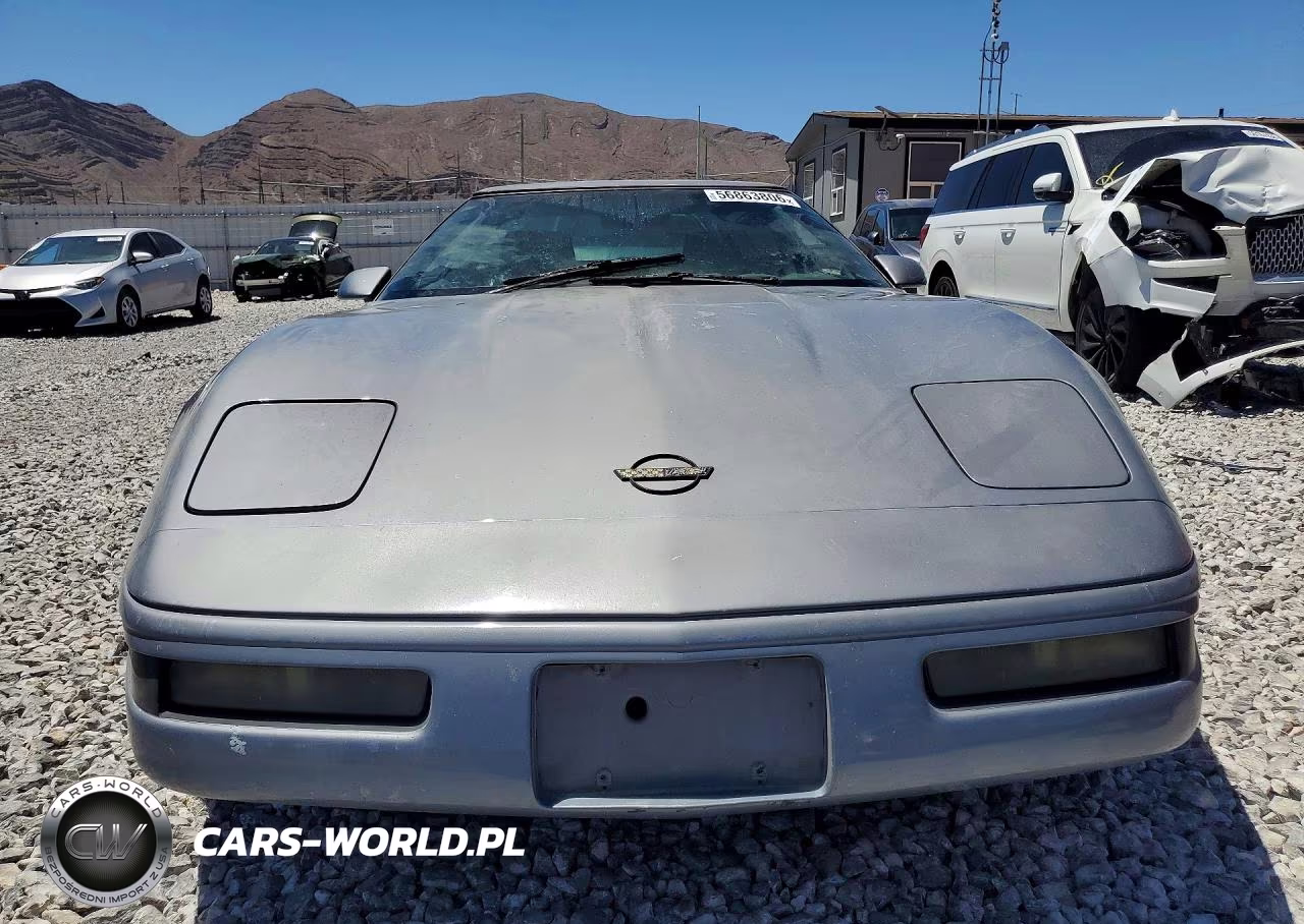1991 Chevrolet Corvette VIN:1G1YY2382M5104810 - 5