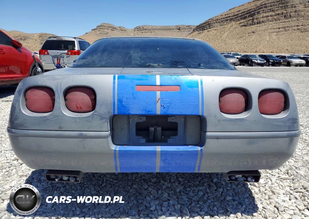 1991 Chevrolet Corvette VIN:1G1YY2382M5104810 - 6