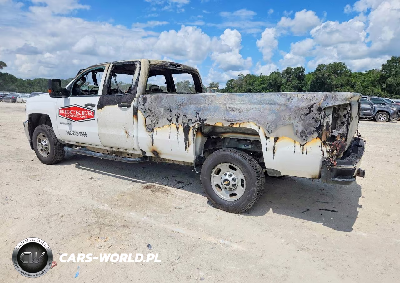 2017 Chevrolet Silverado C2500 Heavy Duty VIN:1GC2CUEG9HZ189848 - 2