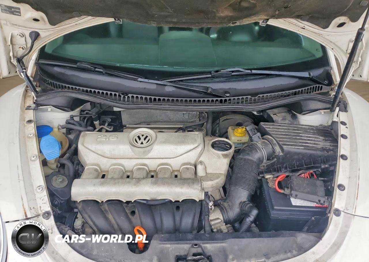 2010 Volkswagen New Beetle VIN:3VWPG3AGXAM010554 - 11
