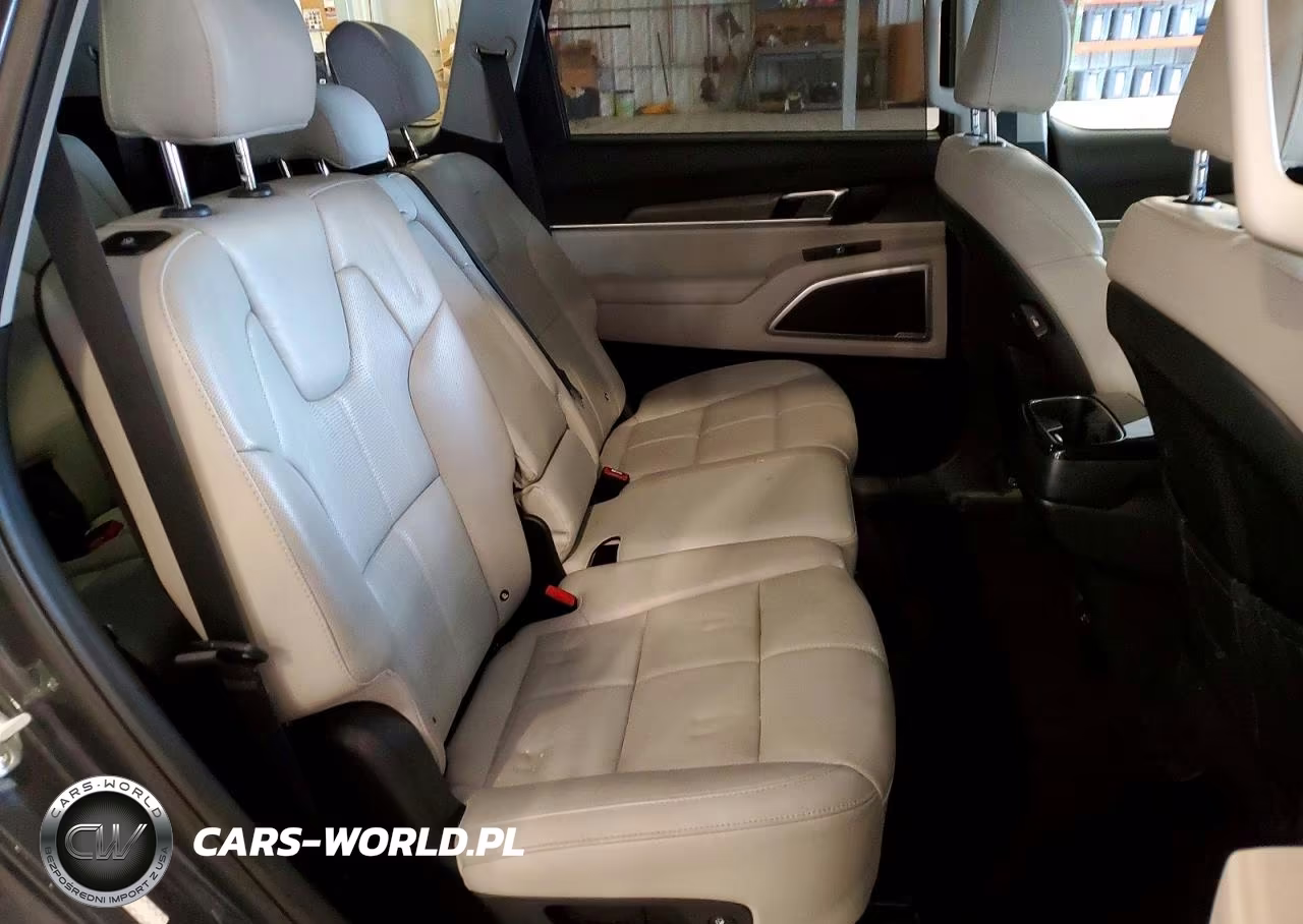 2020 Kia Telluride Ex VIN:5XYP3DHC4LG074449 - 11