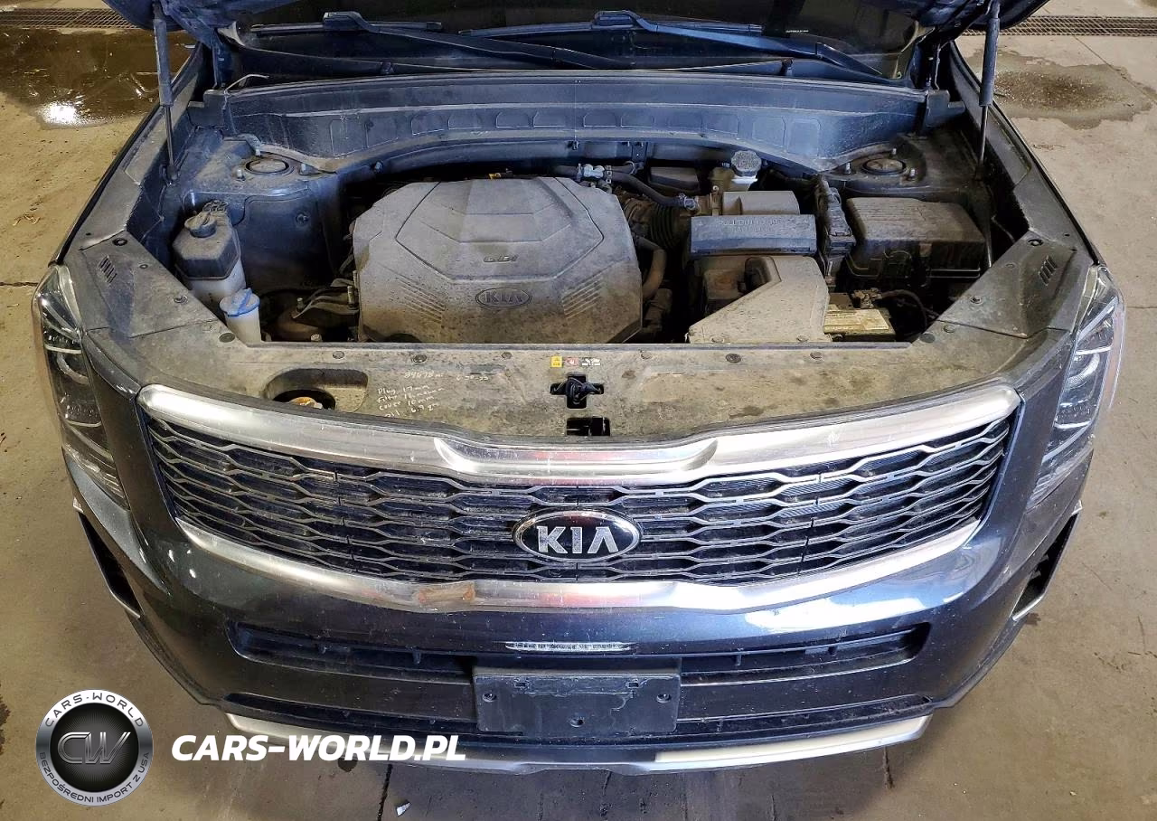 2020 Kia Telluride Ex VIN:5XYP3DHC4LG074449 - 12