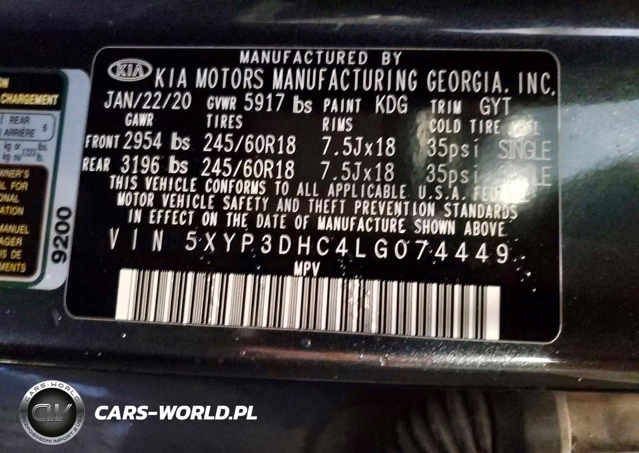2020 Kia Telluride Ex VIN:5XYP3DHC4LG074449 - 13