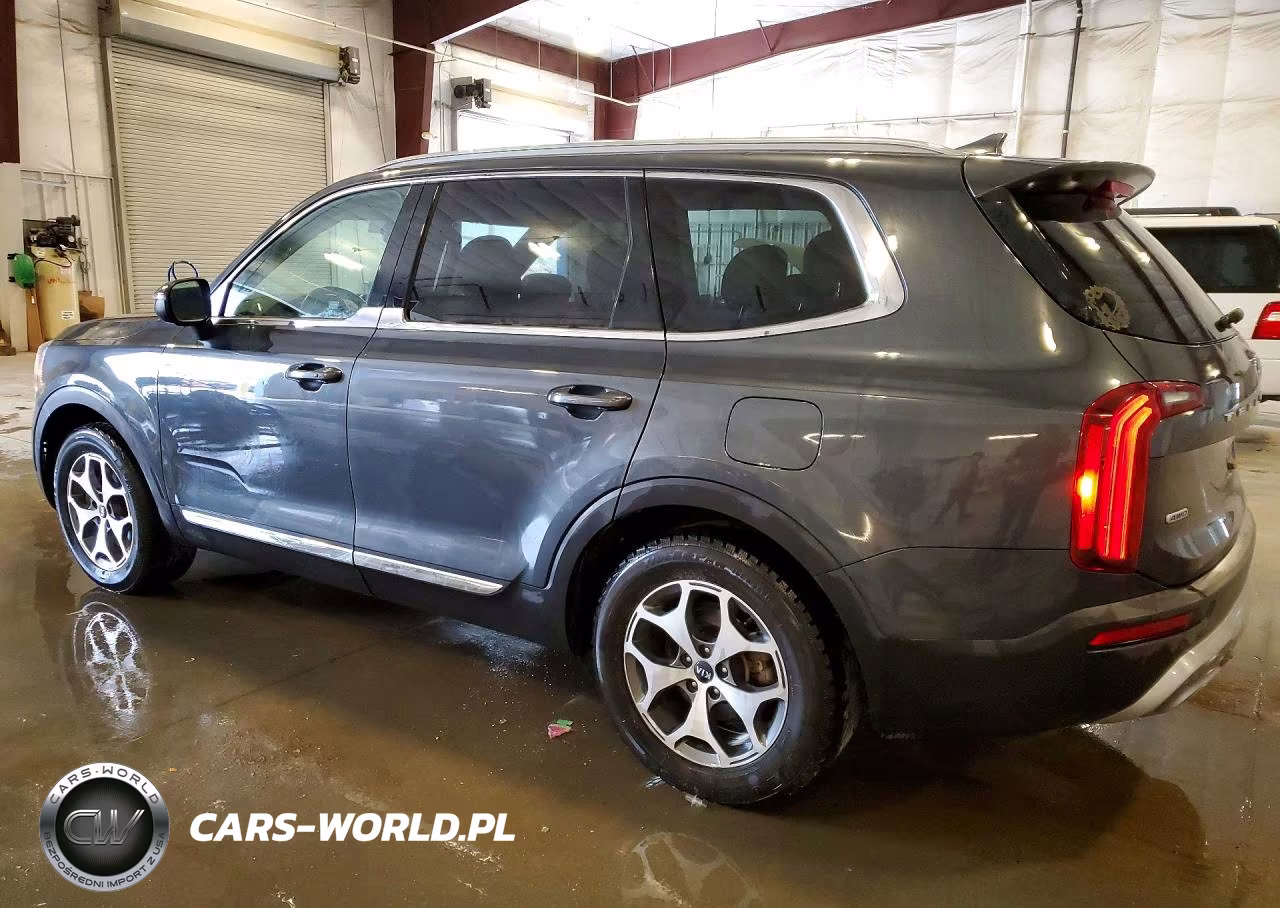 2020 Kia Telluride Ex VIN:5XYP3DHC4LG074449 - 2