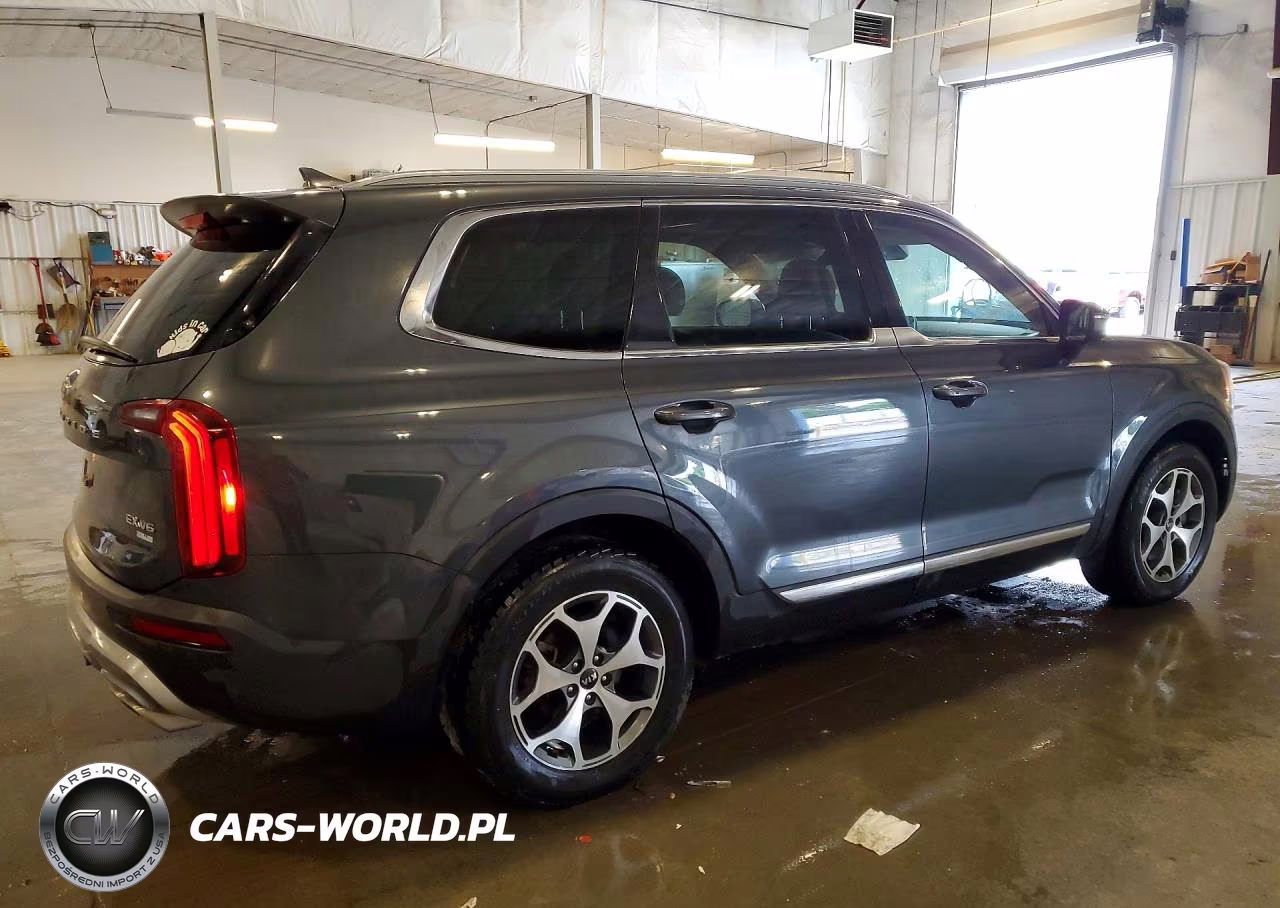 2020 Kia Telluride Ex VIN:5XYP3DHC4LG074449 - 3