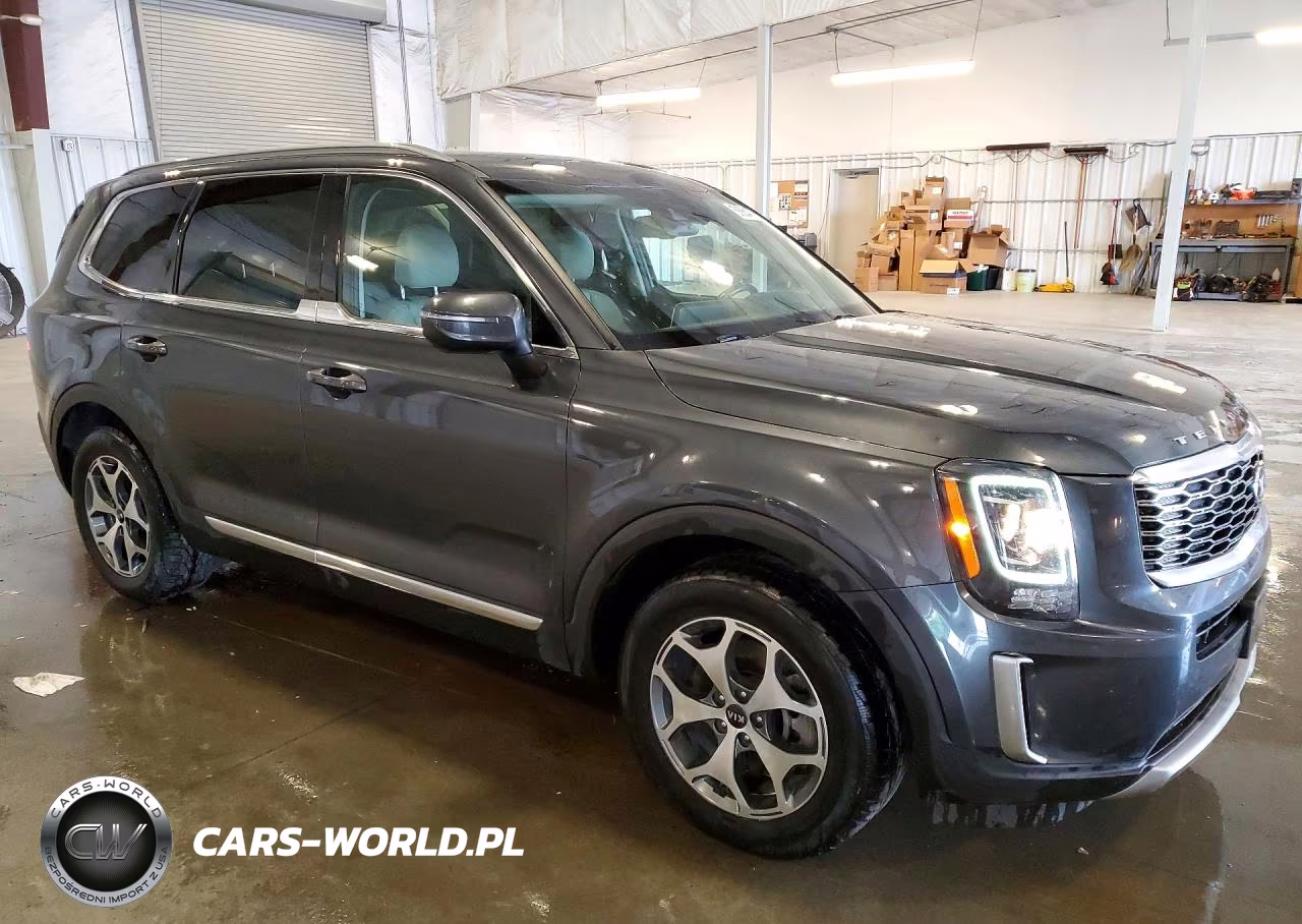 2020 Kia Telluride Ex VIN:5XYP3DHC4LG074449 - 4