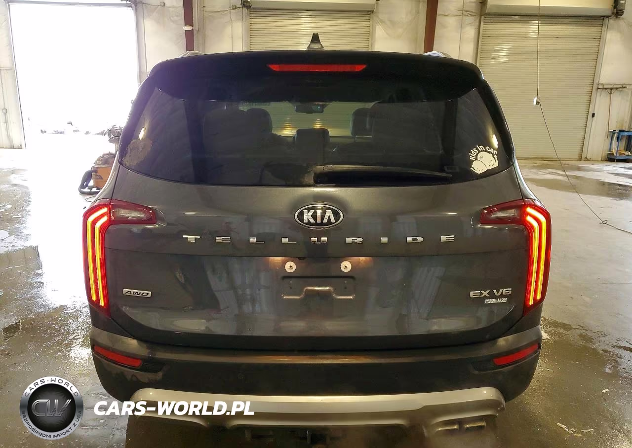 2020 Kia Telluride Ex VIN:5XYP3DHC4LG074449 - 6