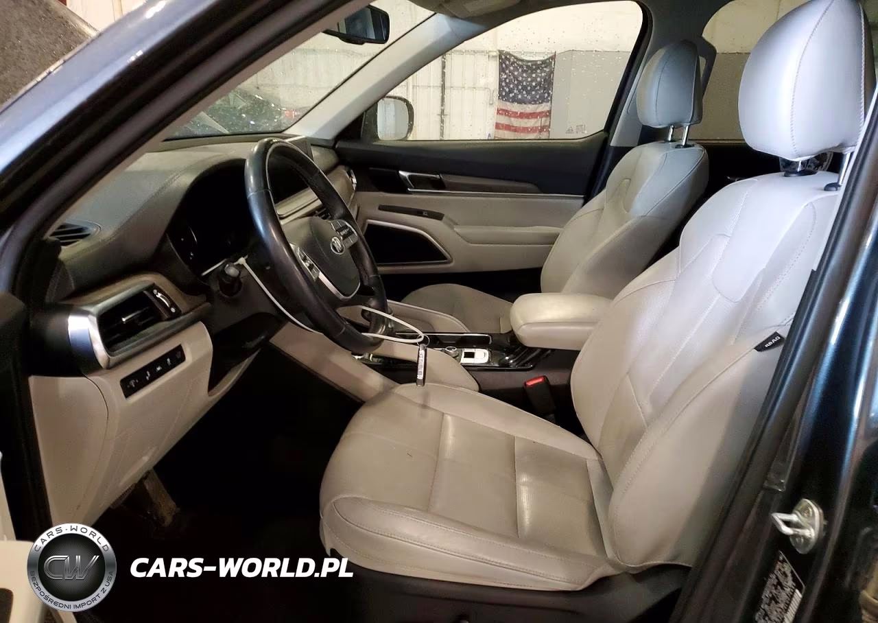 2020 Kia Telluride Ex VIN:5XYP3DHC4LG074449 - 7