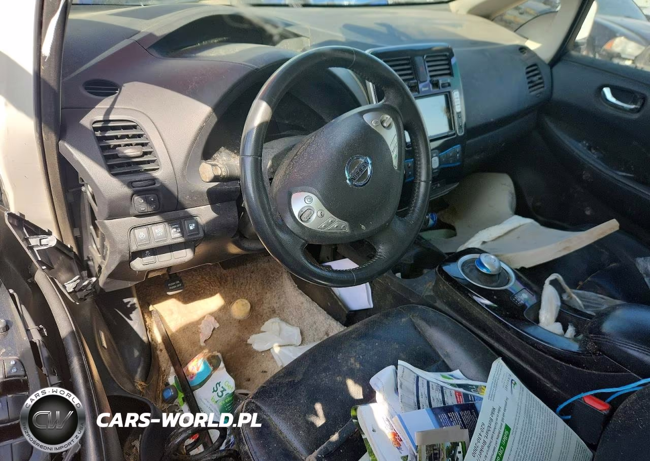 2015 Nissan Leaf Sl VIN:1N4AZ0CP7FC326622 - 8