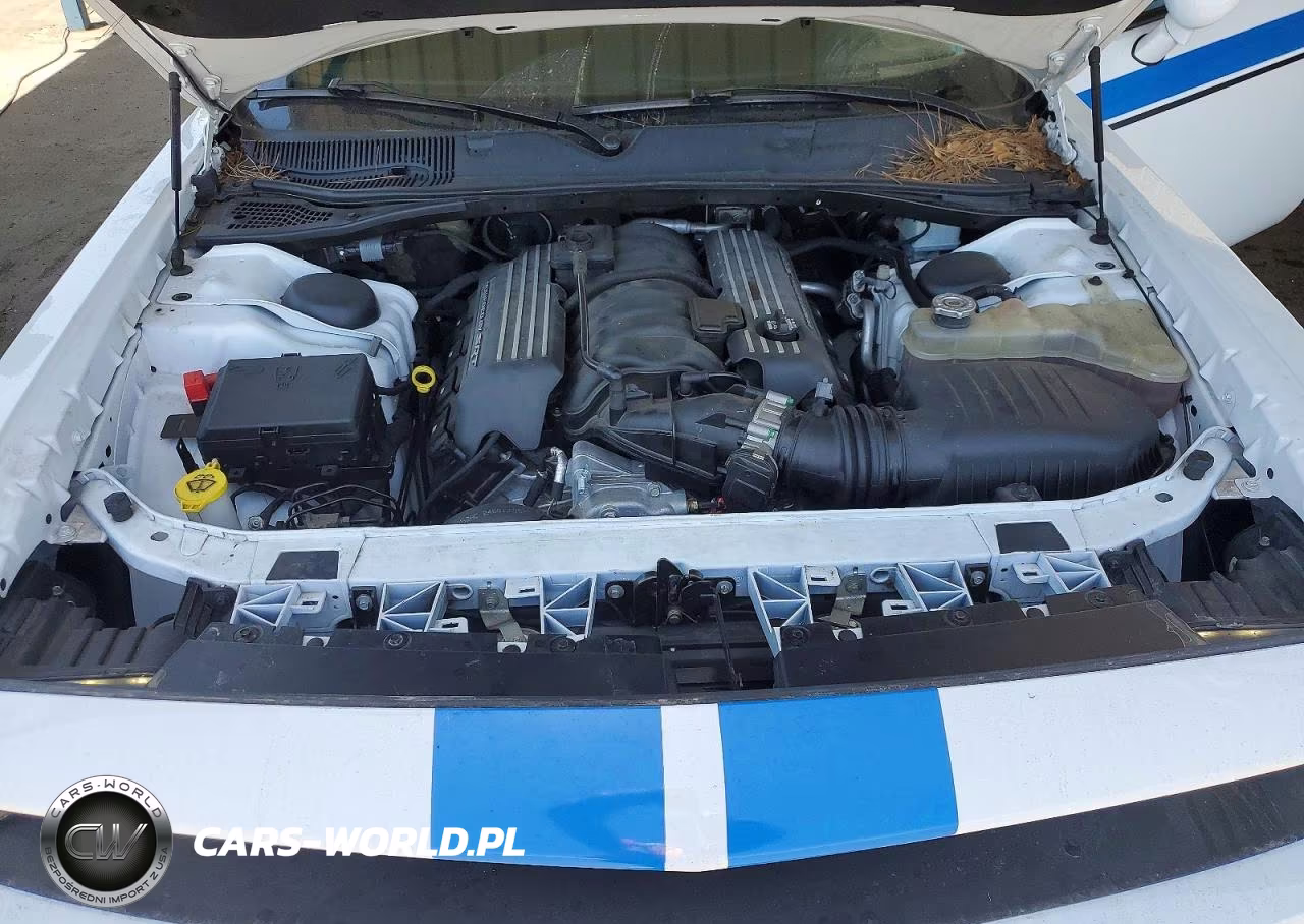 2016 Dodge Challenger R VIN:2C3CDZFJ6GH234451 - 11
