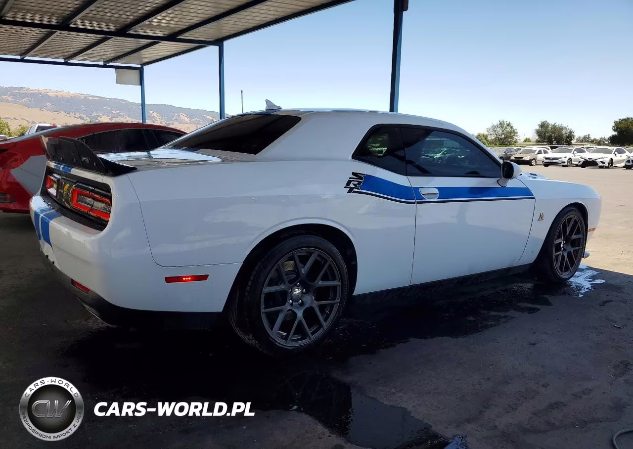 2016 Dodge Challenger R VIN:2C3CDZFJ6GH234451 - 3