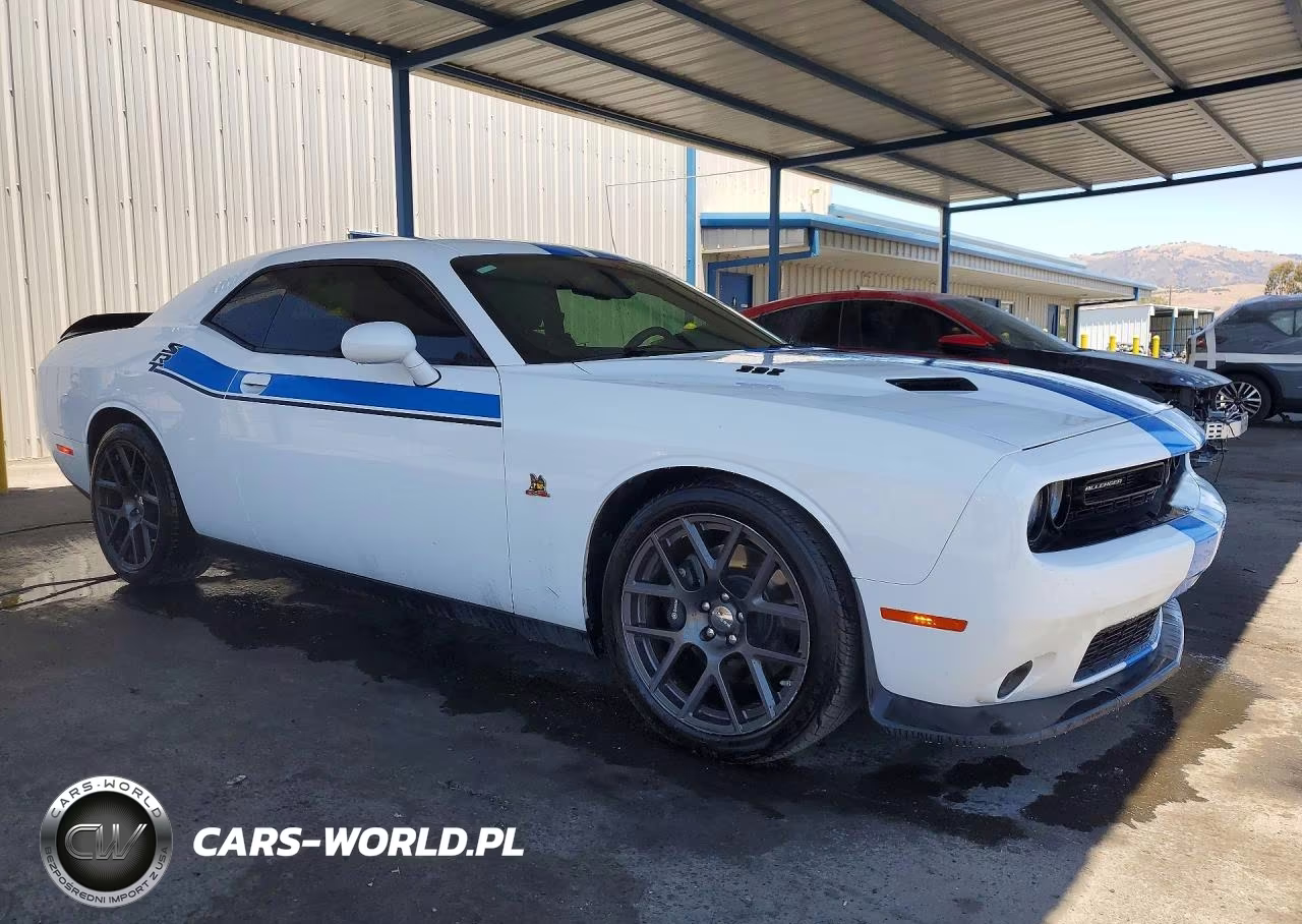 2016 Dodge Challenger R VIN:2C3CDZFJ6GH234451 - 4