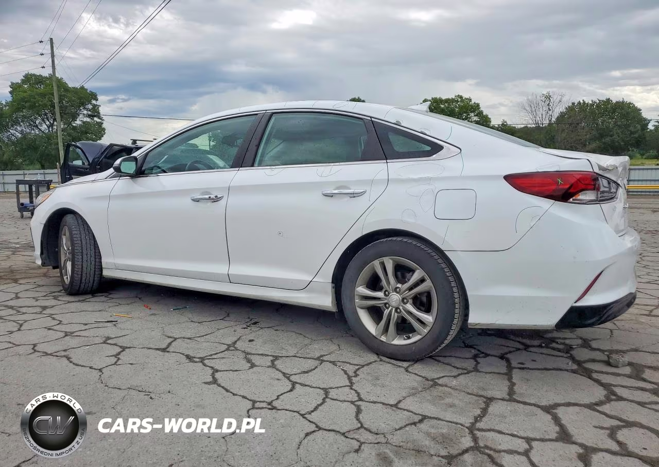 2019 Hyundai Sonata Sel VIN:5NPE34AF0KH775024 - 2