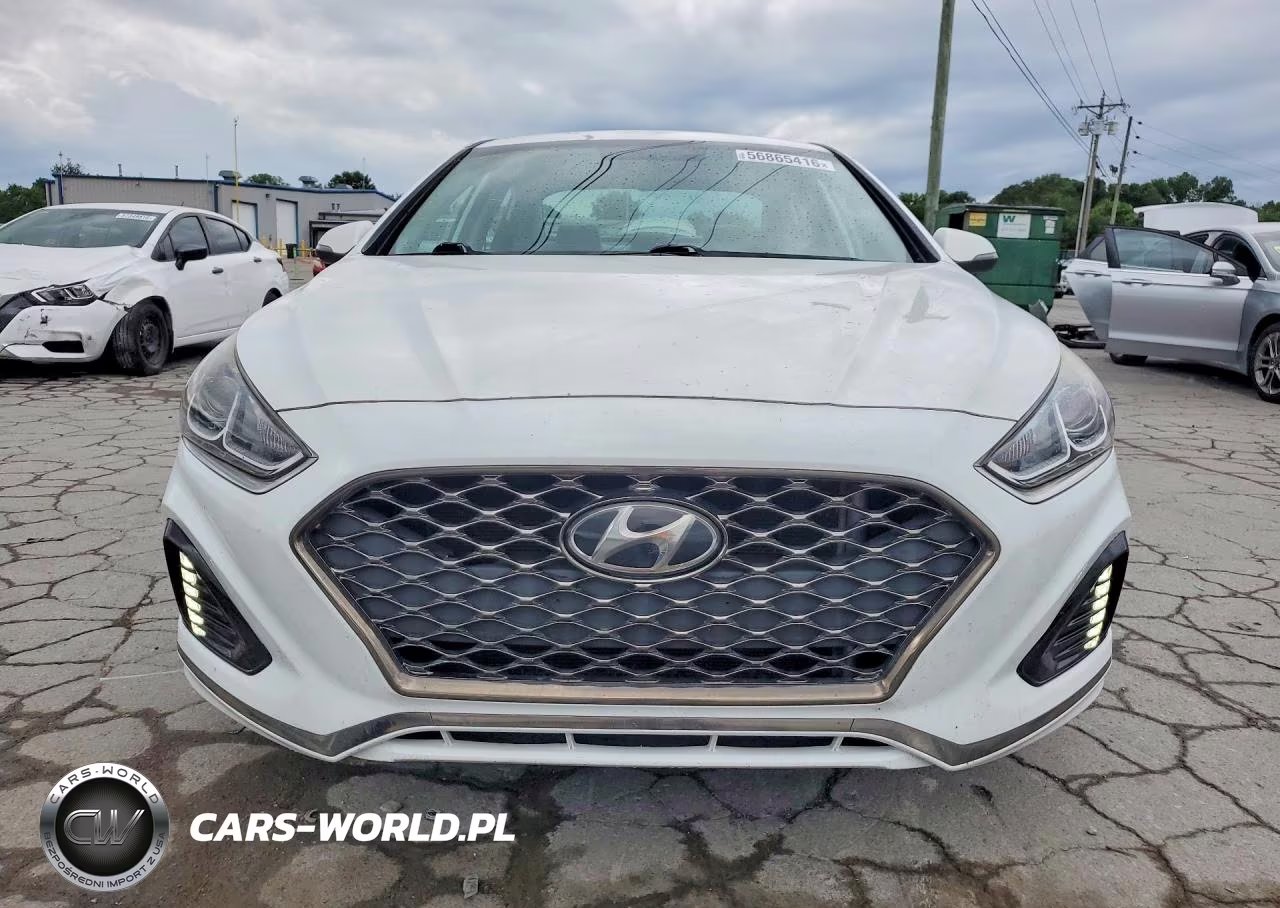 2019 Hyundai Sonata Sel VIN:5NPE34AF0KH775024 - 5