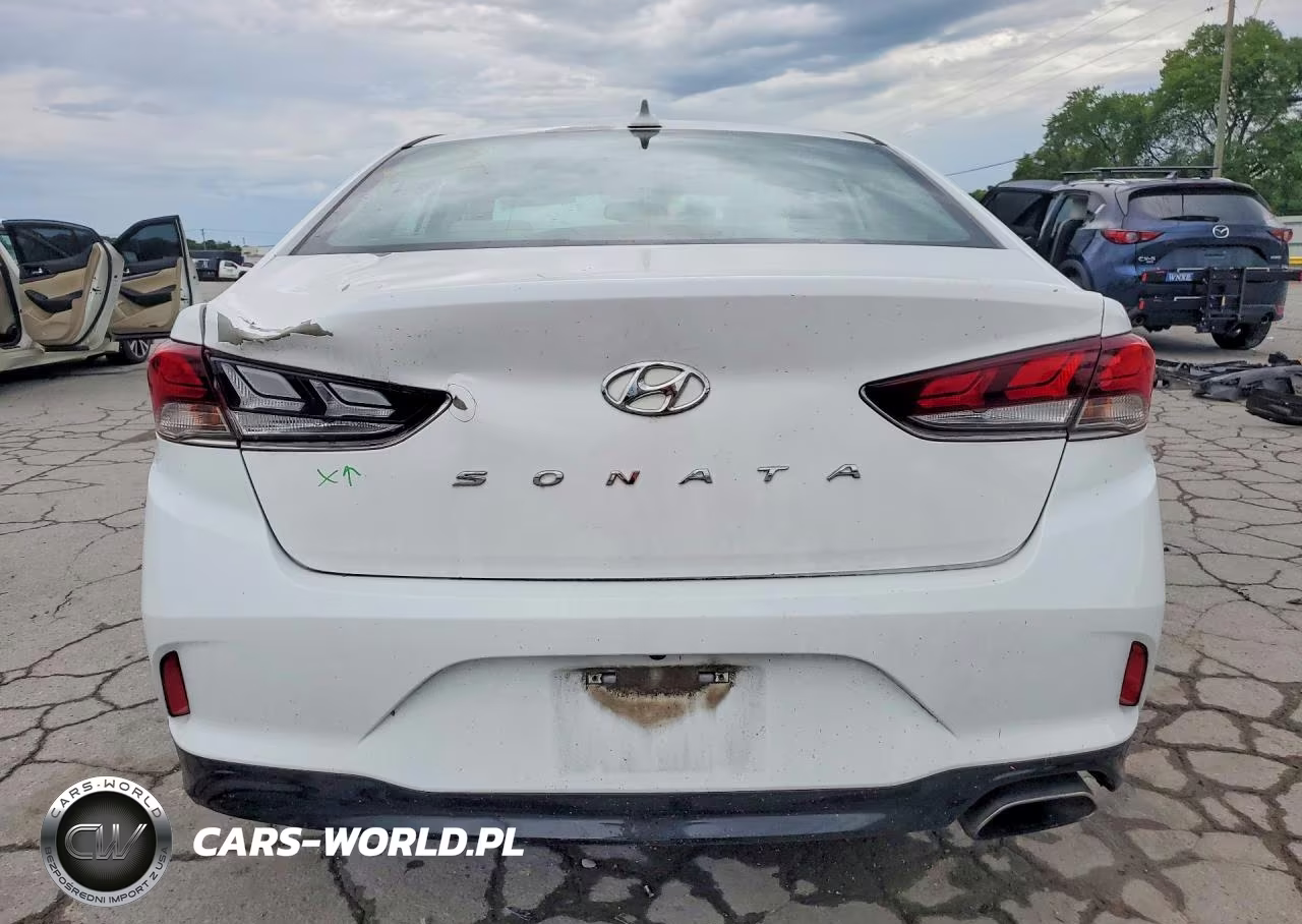 2019 Hyundai Sonata Sel VIN:5NPE34AF0KH775024 - 6