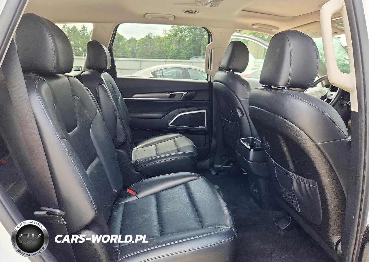 2020 Kia Telluride S VIN:5XYP6DHC9LG044290 - 11