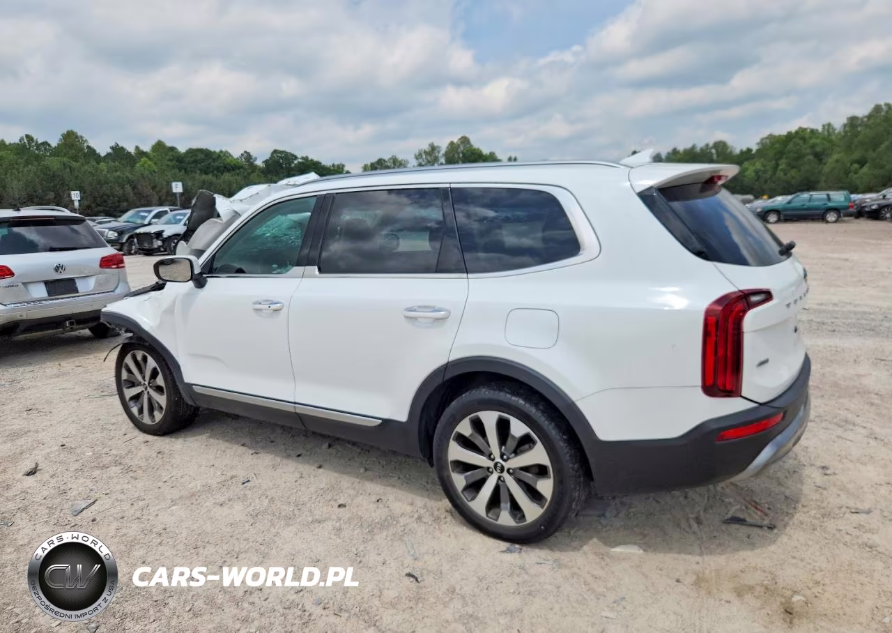 2020 Kia Telluride S VIN:5XYP6DHC9LG044290 - 2