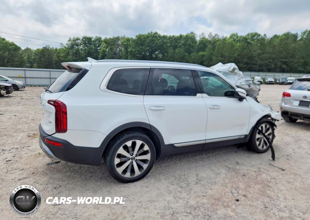 2020 Kia Telluride S VIN:5XYP6DHC9LG044290 - 3