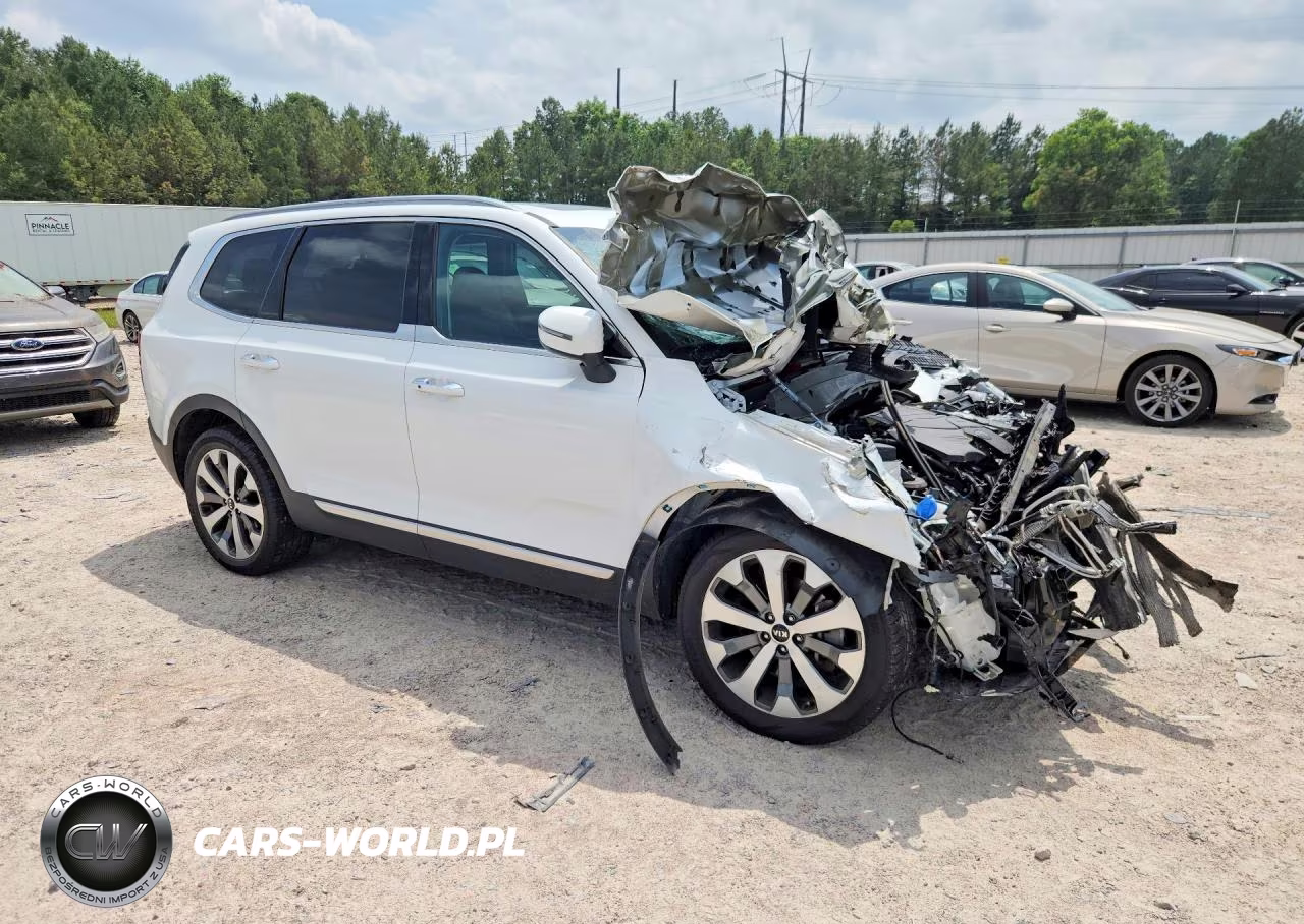 2020 Kia Telluride S VIN:5XYP6DHC9LG044290 - 4
