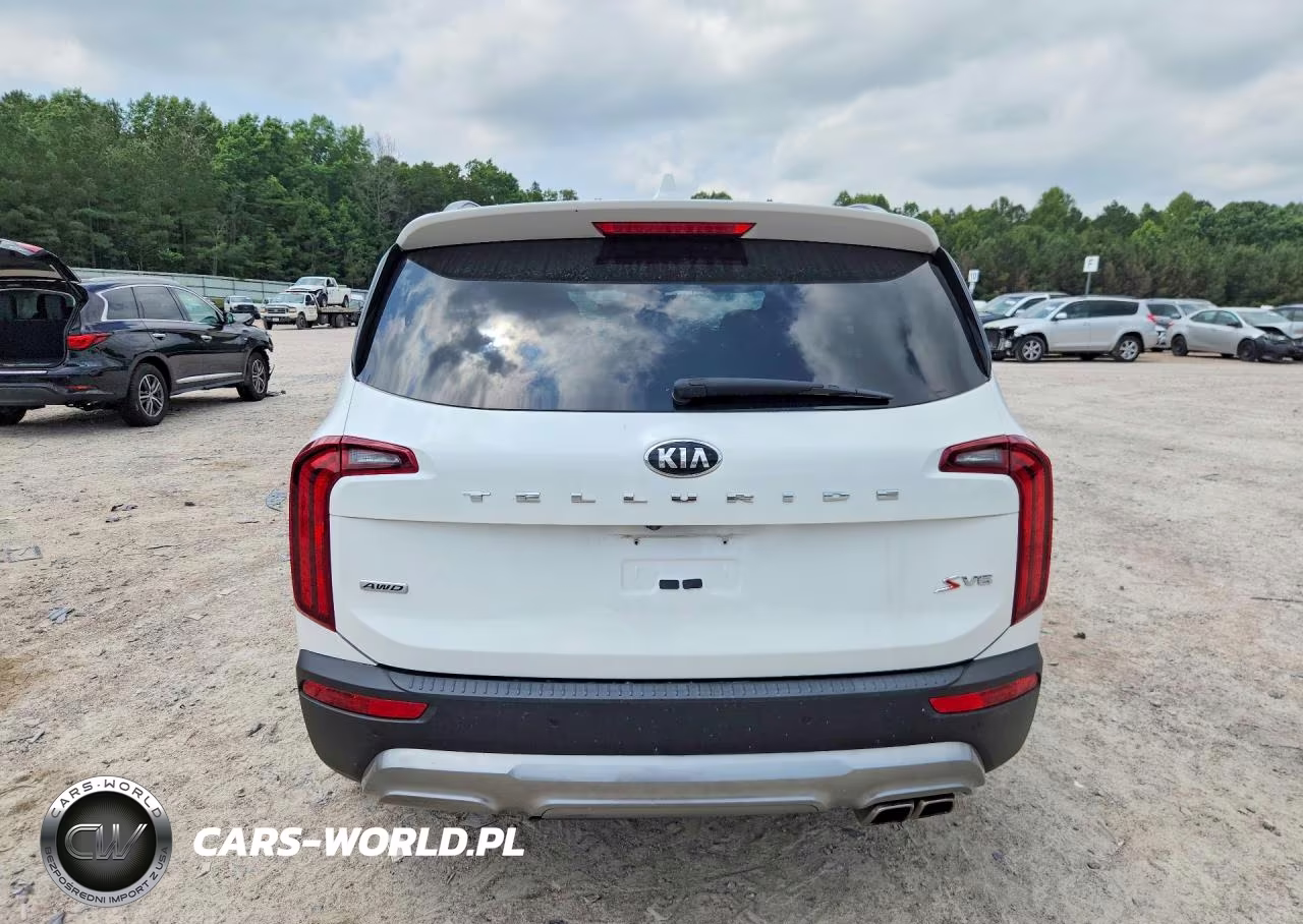 2020 Kia Telluride S VIN:5XYP6DHC9LG044290 - 6