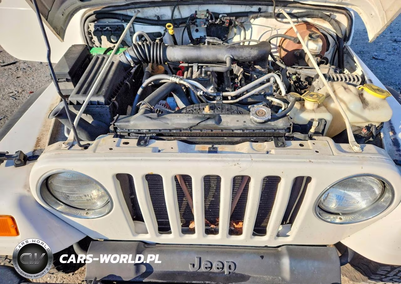 2003 Jeep Wrangler - Tj Sport VIN:1J4FA49S23P371332 - 12