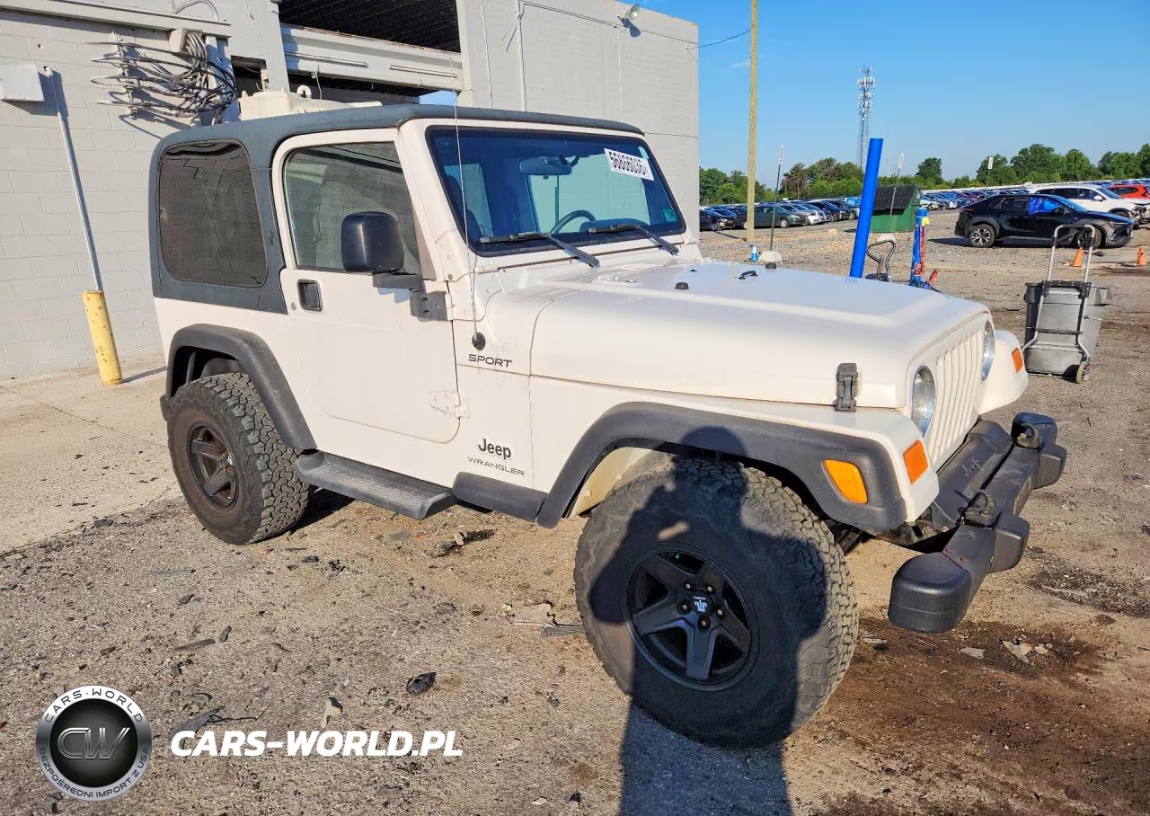 2003 Jeep Wrangler - Tj Sport VIN:1J4FA49S23P371332 - 4