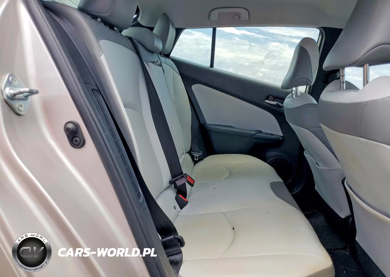 2020 Toyota Prius Prime Xle VIN:JTDKARFP4L3124743 - 10